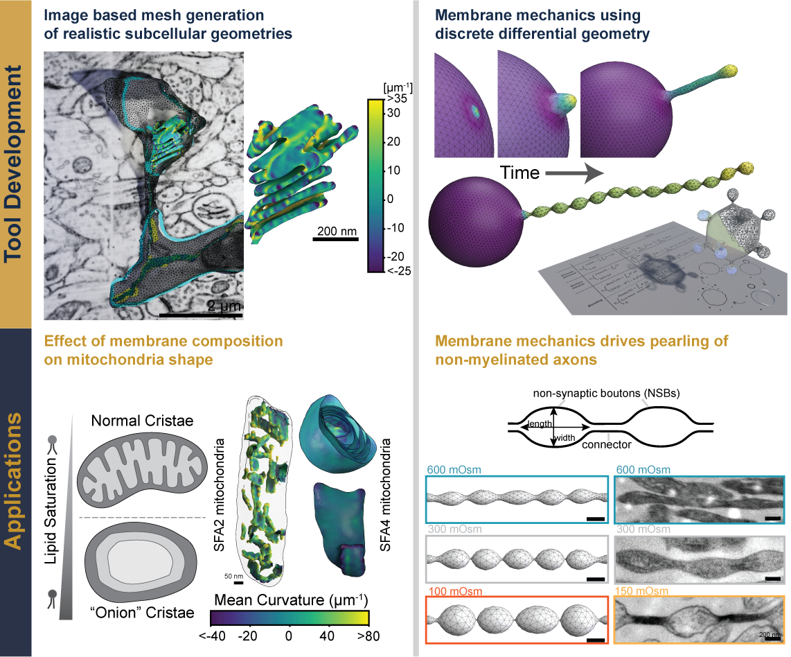 ctleelab research overview